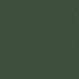 Wilsonart Rosemary Y0851