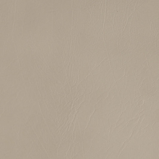 Formica Moon 5630