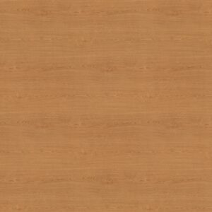 7816 Solar Oak