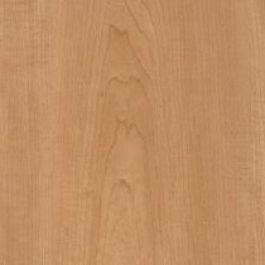 Wilsonart Harvest Maple 7953