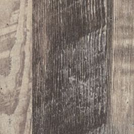 Wilsonart Antique Marula Pine 8216
