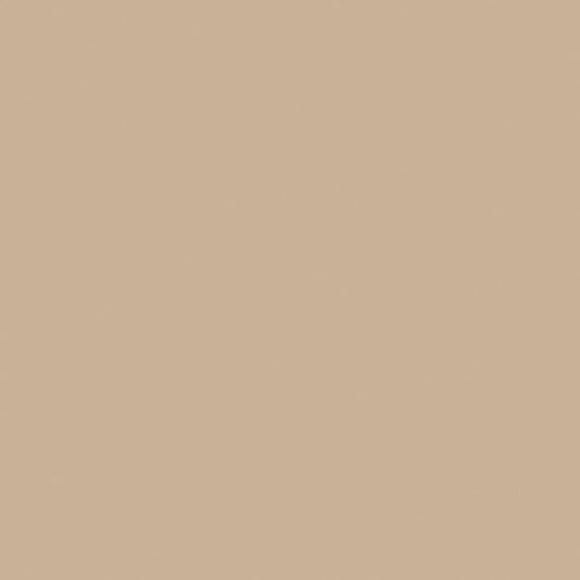 Formica BURNT STRAND COLORCORE2 6307