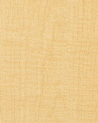 Formica Zebrano 9011