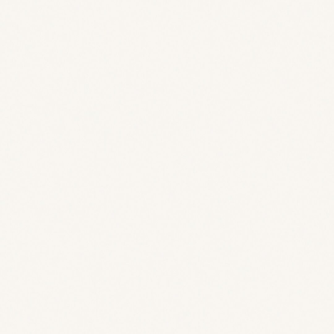 Formica Fog 961