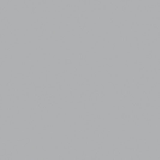 Formica WHITE ASH COLORCORE2 8841