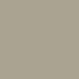Wilsonart Amazon D478