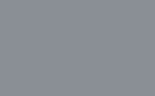 D73 PEWTER