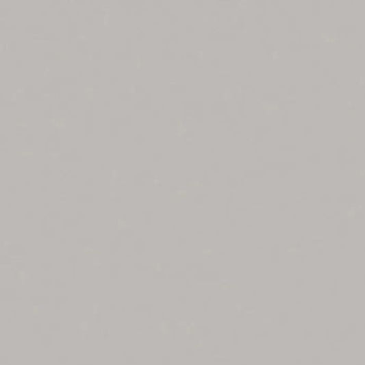 Wilsonart Fashion Grey D381