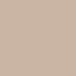 Wilsonart Pebble D337