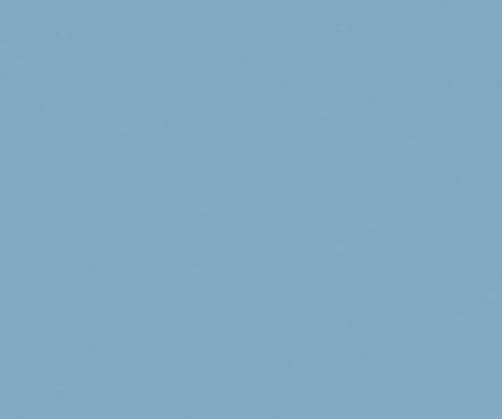 Pionite SB005 French Blue