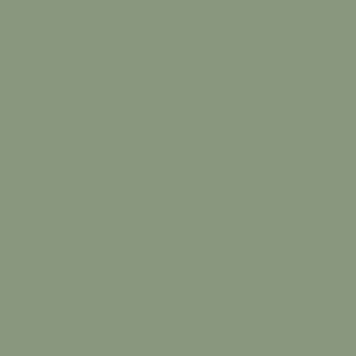 Wilsonart Tuscan Olive D481
