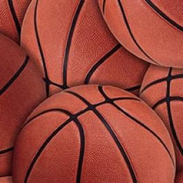 Wilsonart Basketballs Y0019