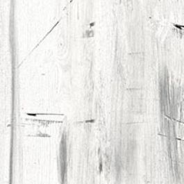 Wilsonart Lace Gesso Wood Y0295
