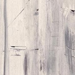 Wilsonart Blonde Gesso Wood Y0297