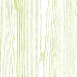 Wilsonart Lime Ash Y0711