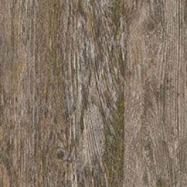 Wilsonart Lichen The Look Y0764