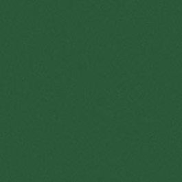 Wilsonart Mistletoe Y0841
