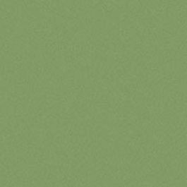 Wilsonart Chutney Y0852